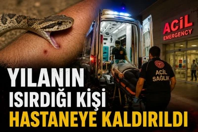 Siirt Kurtalan'da yılanın ısırdığı kişi hastaneye kaldırıldı