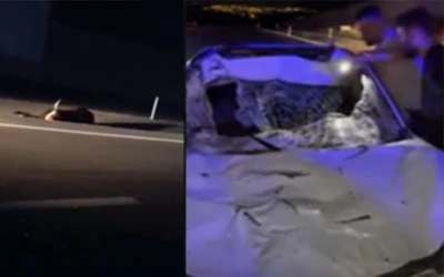 Siirt-Kurtalan Yolunda Otomobil Yola Çıkan İneğe Çarptı: 3 Kişi Yaralandı