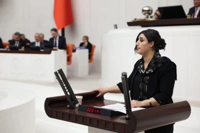 Siirt Milletvekili Sarıtaş’tan Abdullah İnan İçin Meclis’e Başvuru