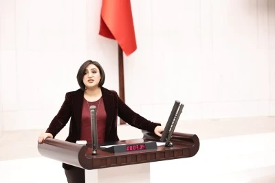 Siirt Milletvekili Sarıtaş&rsquo;tan Epstein Dosyaları İ&ccedil;in Meclis Araştırması &Ouml;nergesi