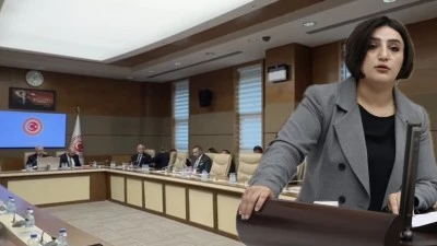 Siirt Milletvekili Sarıtaş’tan Turizm Tanıtımında Eşitsizlik Eleştirisi