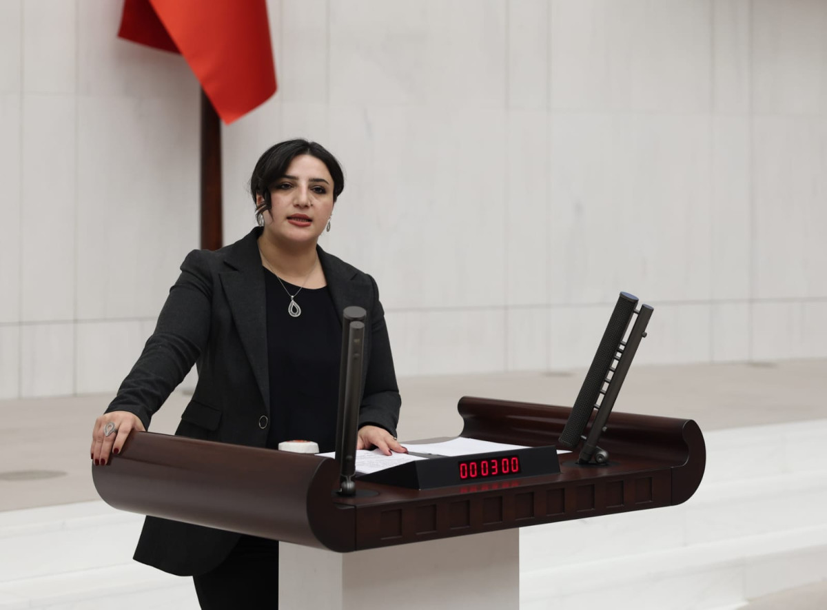 Siirt Milletvekili Sarıtaş’tan Kadına Şiddet ve Basın Özgürlüğü İçin TBMM’ye Önerge