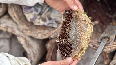 Siirt’te 100 Aileye Destek!