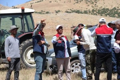 Siirt'te 3 Bin Dekar Alan İlaçlandı