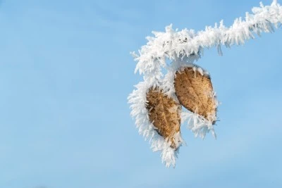 Siirt&rsquo;te 5 G&uuml;nl&uuml;k Hava Tahmini A&ccedil;ıklandı! Gece Ayazı ve Don Uyarısı
