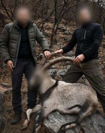 Siirt'te 6 Yıl &Ouml;nce 5 Yaban Ke&ccedil;isini Vuran Avcılar Yakalandı