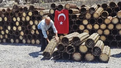 Siirt'te arıcılıkta yeni d&ouml;nem: 1.800 arı sepetiyle &uuml;retim artacak