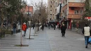 Siirt'te Bilim Sokağa Taşacak