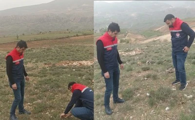 Siirt’te Şaşırtan Tarım Gelişmesi! Toprakla İlk Kez Buluştu, Gözlem Altına Alındı