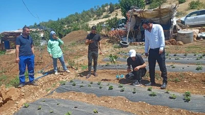 Siirt’te Bitki Sağlığı İçin Saha Denetimleri
