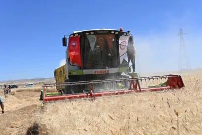 Siirt'te Buğday Hasadı Başladı: Vali Kızılkaya Bi&ccedil;erd&ouml;ver Direksiyonuna Ge&ccedil;ti