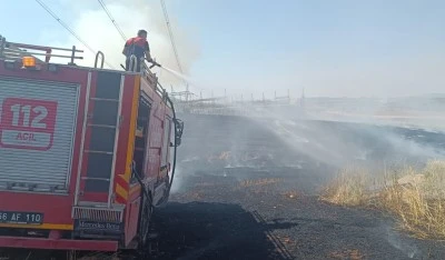 Siirt'te buğday ve arpa tarlasında yangın
