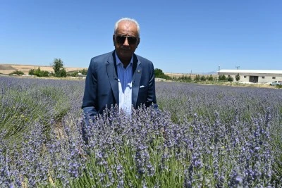 Siirt'te B&uuml;y&uuml;k Umutlarla Ekildi, &Ccedil;ift&ccedil;i Umduğunu Bulamadı
