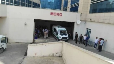 Siirt'te ceviz ağacından d&uuml;şen kişi hayatını kaybetti