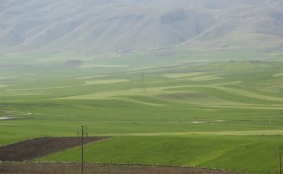 Siirt’te çiftçilere önemli uyarı!