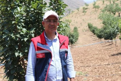 Siirt’te çiftçiye yüzde 75 hibe ile 10 bin fidan dağıtılacak!