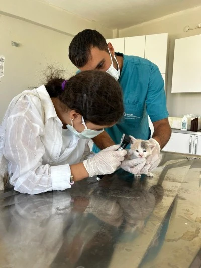 Siirt&rsquo;te &ccedil;ocuklar veteriner hekimlik mesleğini yakından tanıdı