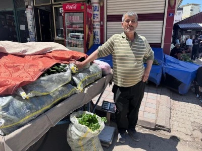 Siirt&rsquo;te Doğal Ortamda Yetişiyor, Kilosu 50 Liradan Satılıyor
