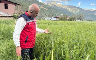 Siirt&rsquo;te doludan etkilenen tarım alanlarında inceleme yapıldı