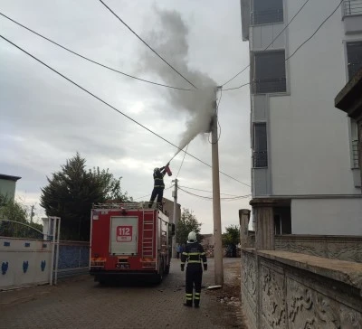 Siirt'te elektrik direğinde çıkan yangın söndürüldü