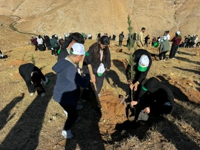 Siirt’te Fidanlar Toprakla Buluştu