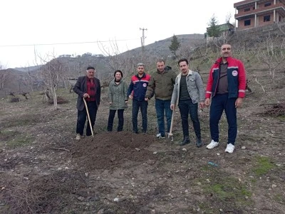 Siirt&rsquo;te Fıstık Bah&ccedil;elerinde Ağa&ccedil; Kurumalarına Karşı Teknik Destek ve &Ccedil;&ouml;z&uuml;m S&uuml;reci Başlatıldı
