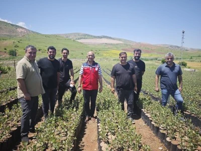 Siirt'te fıstık fidanı &uuml;retiminde kaliteli ve sertifikalı &uuml;retim vurgusu