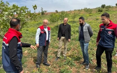 Siirt’te fıstık üreticilerine sahada çözüm sunuldu!