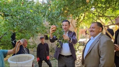 Siirt’te Hasat Heyecanı Başladı!