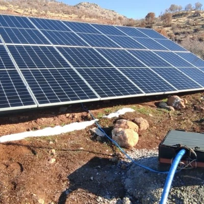 Siirt&rsquo;te Hayvancılığa Destek!