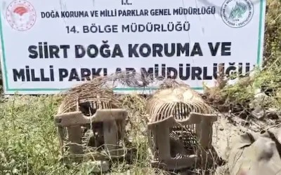 Siirt'te İki Keklik İçin 43 Bin Lira Ceza