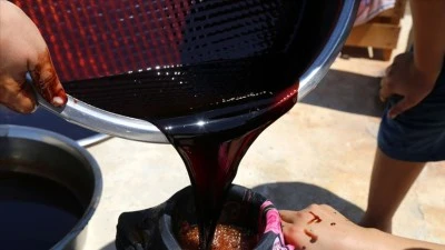 Siirt’te İskembo Pekmezi Mesaisi Başladı