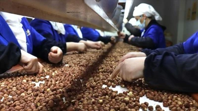 Siirt&rsquo;te Kadınların İhracata Katkısı Y&uuml;zde 19,57&rsquo;ye Ulaştı