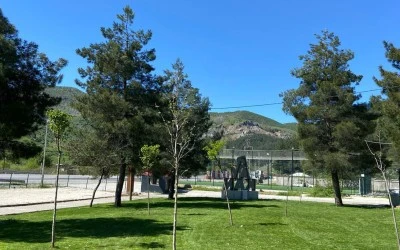 Siirt'te Kent Ormanı Yenilendi