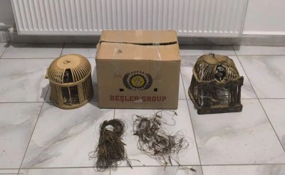 Siirt'te kınalı keklikleri doğadan yakalayan 3 kişiye rekor ceza