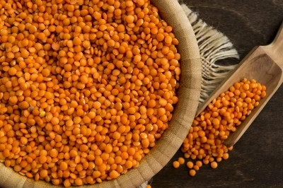 Siirt’te Kırmızı Mercimek Üretimini Geliştirme Projesi Başvuruları Başlıyor