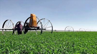 Siirt&rsquo;te Kırsal Kalkınma Desteklerinde Başvuru S&uuml;resi Uzatıldı