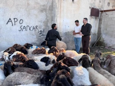 Siirt&rsquo;te Kurbanlık Yoğunluğu!