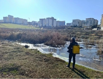 Siirt'te larvalara y&ouml;nelik ila&ccedil;lama yapıldı