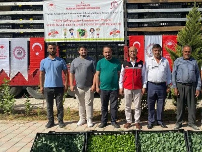 Siirt’te Marul ve Karnabahar Projesi Hayata Geçirildi