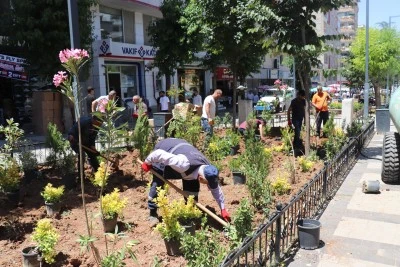 Siirt'te o cadde renklendi