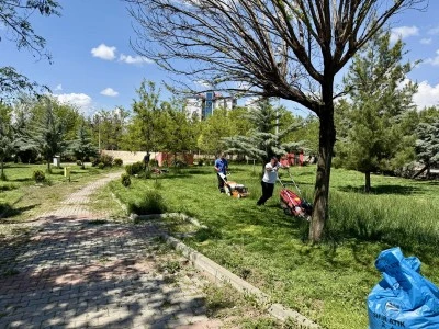 Siirt&rsquo;te Park ve Yeşil Alanlarda Yoğun Mesai