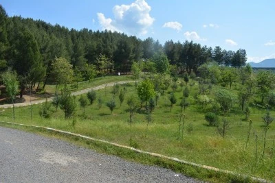 Siirt’te Piknik Yapılabilecek Yerler: Doğayla İç İçe Unutulmaz Anlar Sunan Mesire Alanları