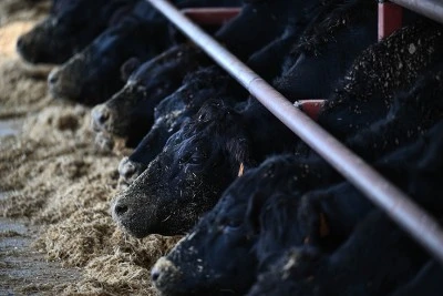 Siirt'te &quot;Kırsalda Bereket&quot; projesinde asil ve yedek listeler açıklandı