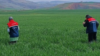 Siirt'te Saha Taraması Başladı: Amaç Zararı Yüzde Bire Düşürmek