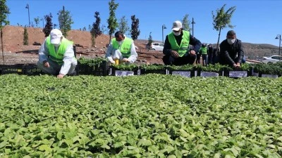 Siirt&rsquo;te Sebze Fidesi Desteği Başlıyor! Başvuru Tarihi Belli Oldu