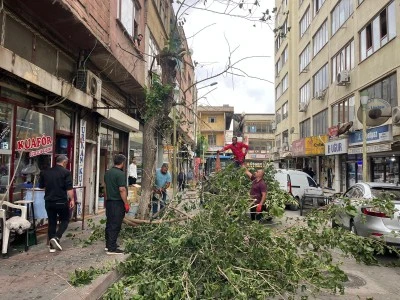 Siirt’te şiddetli rüzgarın ardından çalışmalara başlandı