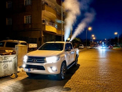 Siirt'te Sivrisinekler Neden Arttı? Belediyeden A&ccedil;ıklama Geldi