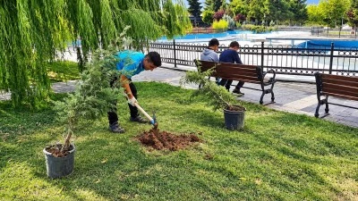 Siirt&rsquo;te Sosyal Tesislerde ağa&ccedil; dikimi yapıldı