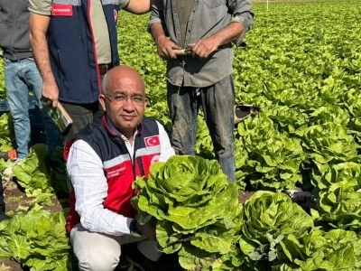 Siirt’te TAKE Projesi Sahada İncelendi